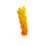 Wheat
