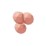 Raspberry