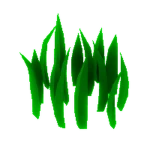 Tall Grass